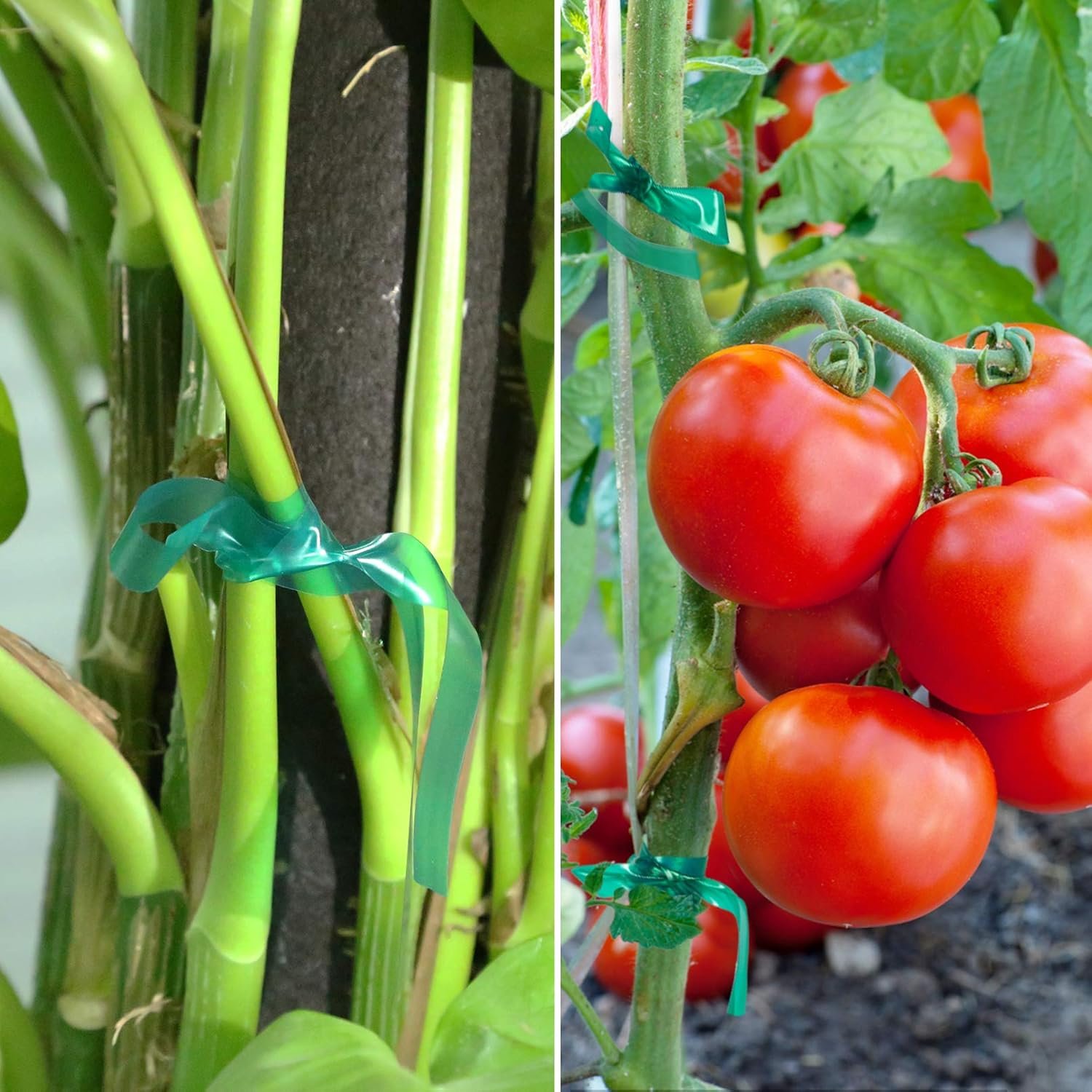 Stretch Plant Tie Tape – 300 Ft for Garden & Plant Support - Image 3