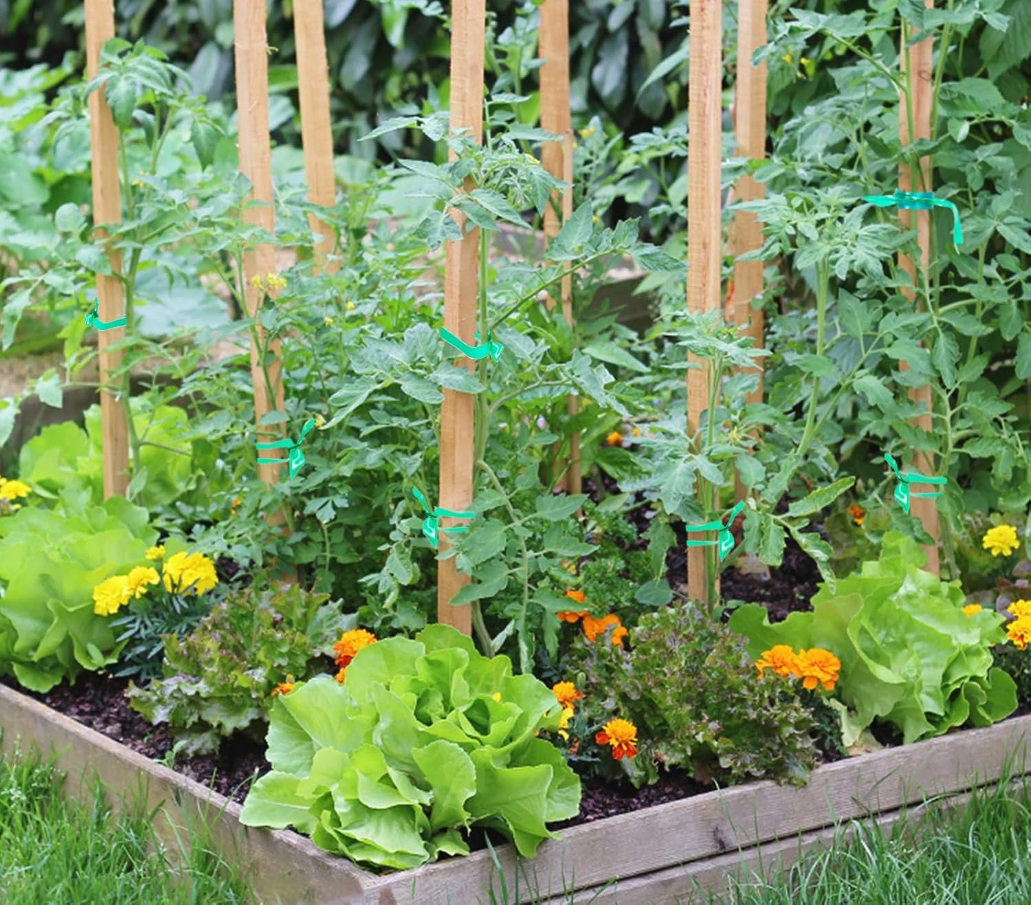 Stretch Plant Tie Tape – 300 Ft for Garden & Plant Support - Image 4