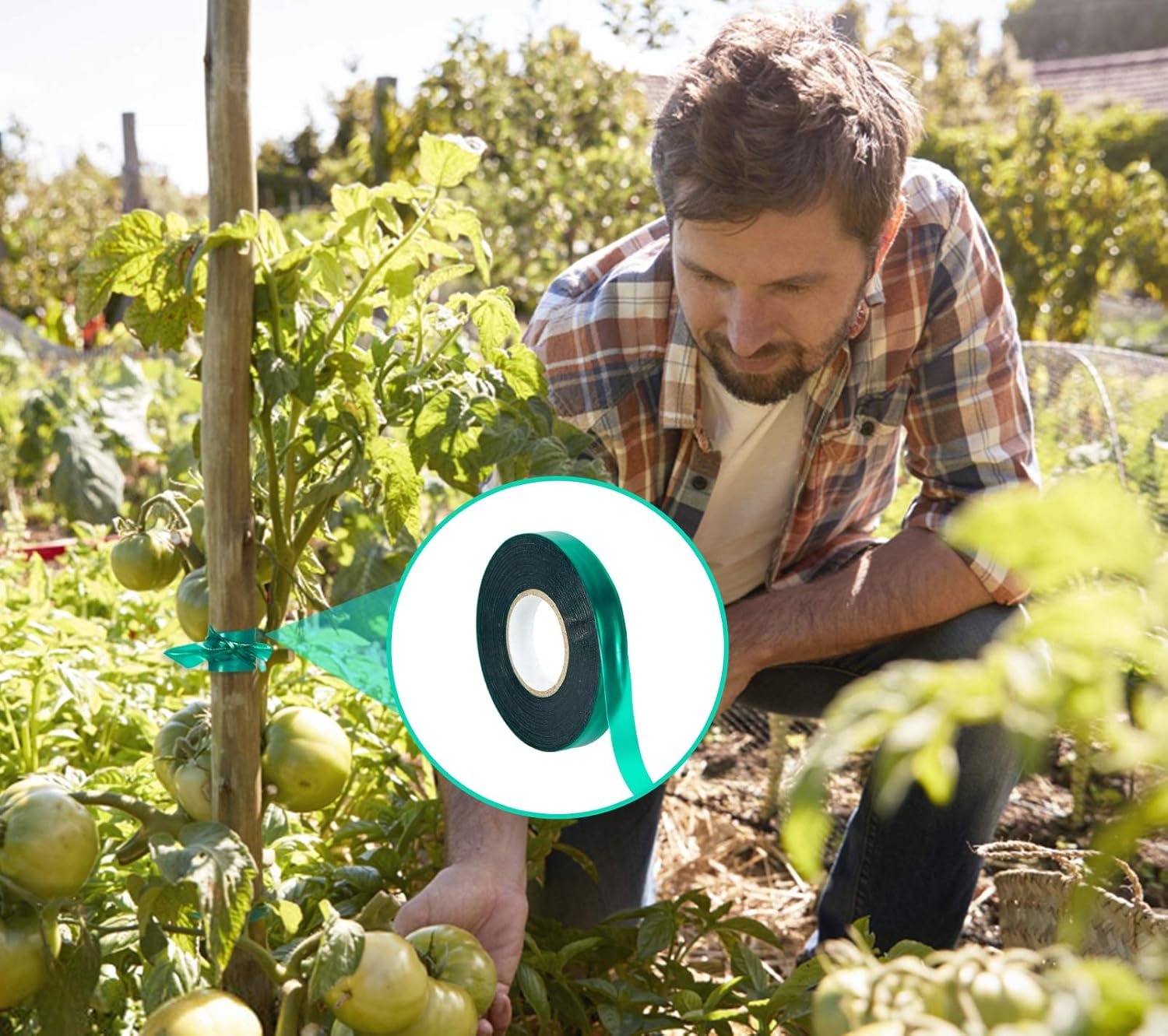 Stretch Plant Tie Tape – 300 Ft for Garden & Plant Support - Image 7